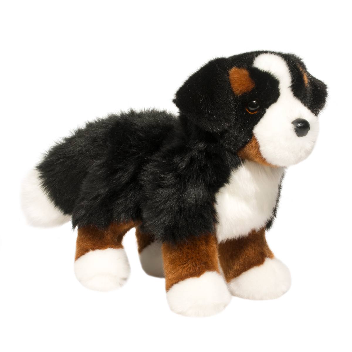 1710-1.jpg Stevie Bernese Mountain Dog - Image 1