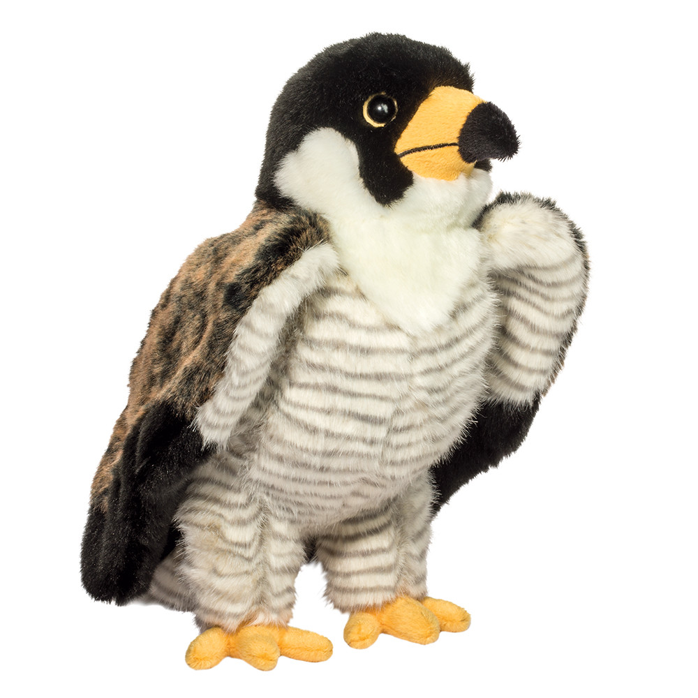 3763.jpg Houston Falcon - Image 1