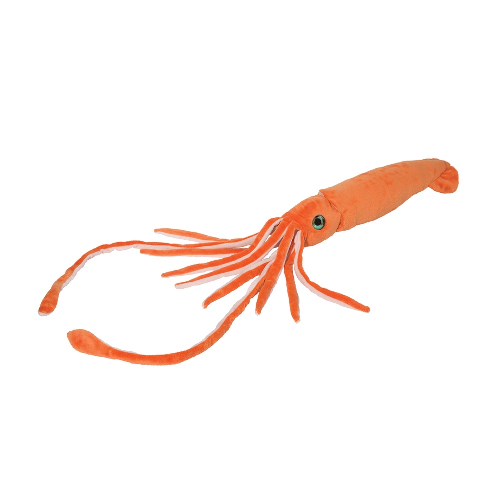 3816-2.jpg Stretch Squid - Image 1